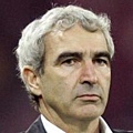 教練: Raymond Domenech