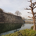 大阪城公園26.JPG