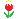 tulip_red.gif