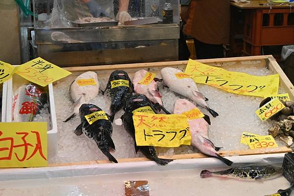 【日本大阪】日本黑門市場，海鮮超多，新鮮河豚、生魚片、海膽，