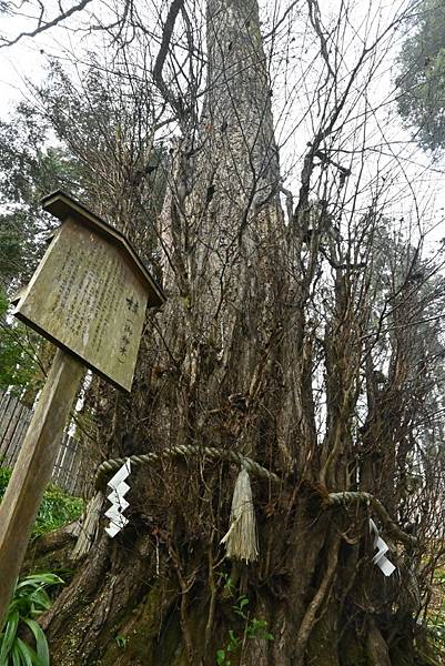 【日本京都】貴船神社，水神神社，日本充滿靈氣的神社，幽靜美麗