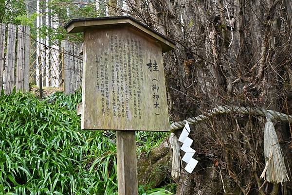 【日本京都】貴船神社，水神神社，日本充滿靈氣的神社，幽靜美麗