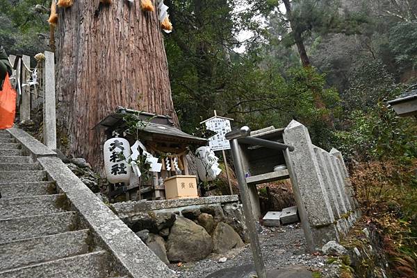 【日本京都】京都近郊鞍馬山，大天狗所在的鞍馬寺，靈氣滿滿的山