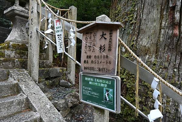 【日本京都】京都近郊鞍馬山，大天狗所在的鞍馬寺，靈氣滿滿的山