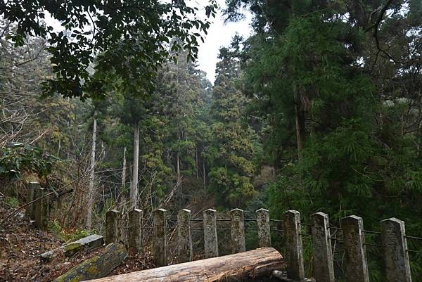 【日本京都】京都近郊鞍馬山，大天狗所在的鞍馬寺，靈氣滿滿的山