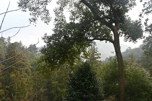 【日本京都】京都近郊鞍馬山，大天狗所在的鞍馬寺，靈氣滿滿的山