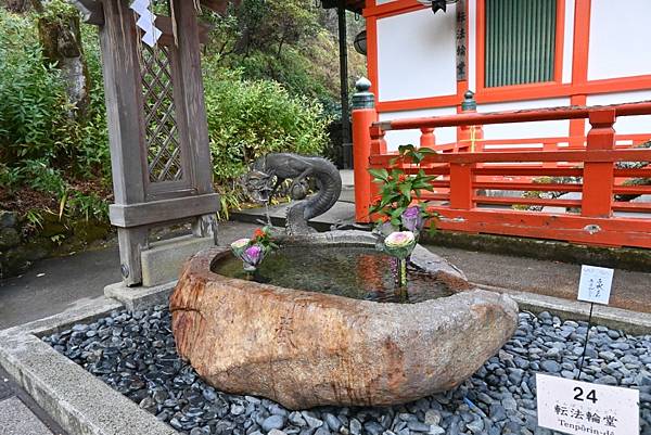 【日本京都】京都近郊鞍馬山，大天狗所在的鞍馬寺，靈氣滿滿的山