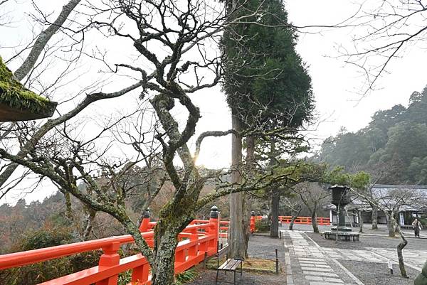 【日本京都】京都近郊鞍馬山，大天狗所在的鞍馬寺，靈氣滿滿的山