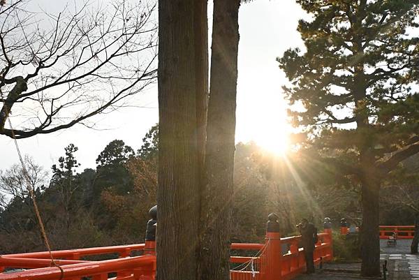 【日本京都】京都近郊鞍馬山，大天狗所在的鞍馬寺，靈氣滿滿的山