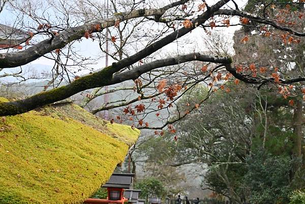 【日本京都】京都近郊鞍馬山，大天狗所在的鞍馬寺，靈氣滿滿的山