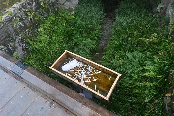 【日本京都】下鴨神社初詣參拜，日本歷史悠久的神社