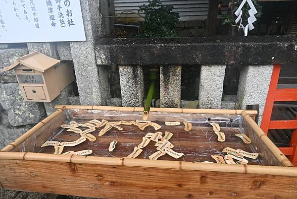 【日本京都】下鴨神社初詣參拜，日本歷史悠久的神社