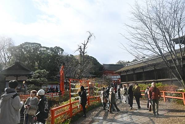 【日本京都】下鴨神社初詣參拜，日本歷史悠久的神社