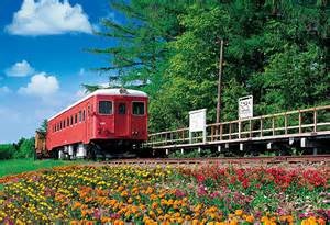 th1AFNOZTV th1AFNOZTV