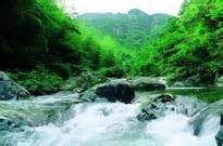 th5G1HOXL4 th5G1HOXL4