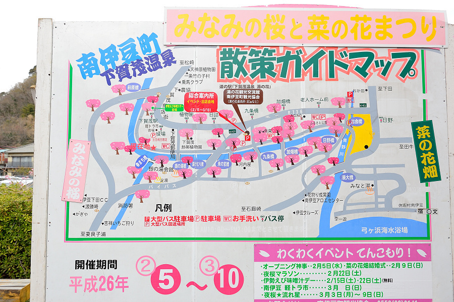 南伊豆下賀茂溫泉みなみの桜と菜の花祭り 14 富士山伊豆之旅day6 努力記錄幸福的瞬間 痞客邦 南伊豆下賀茂溫泉みなみの桜と菜の花祭り 14 富士山伊豆之旅day6 努力記錄幸福的瞬間 痞客邦