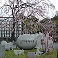 D5_0上野恩賜公園.jpg