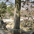 D6_55奈良著名景點東大寺.jpg