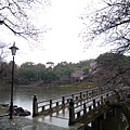 D6_161公園一景.jpg