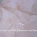 IMG_0083.JPG