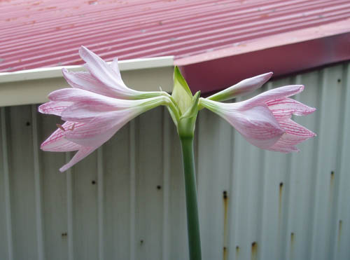 2012091604