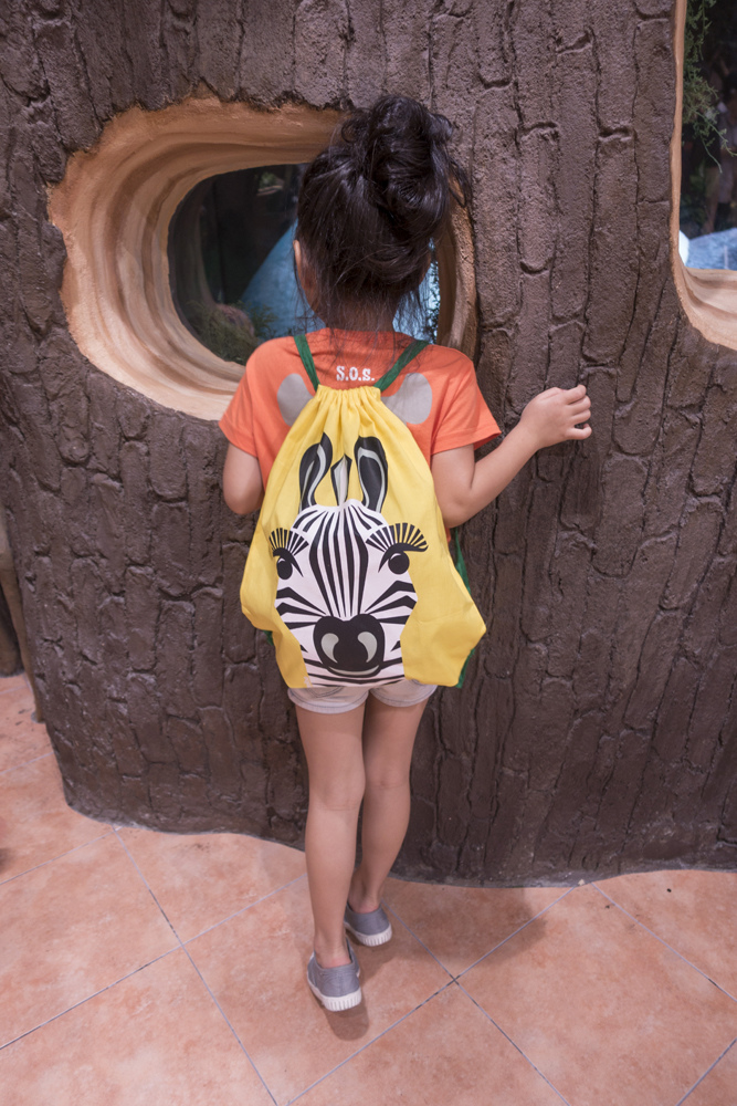 DSC00621.jpg DSC00621.jpg