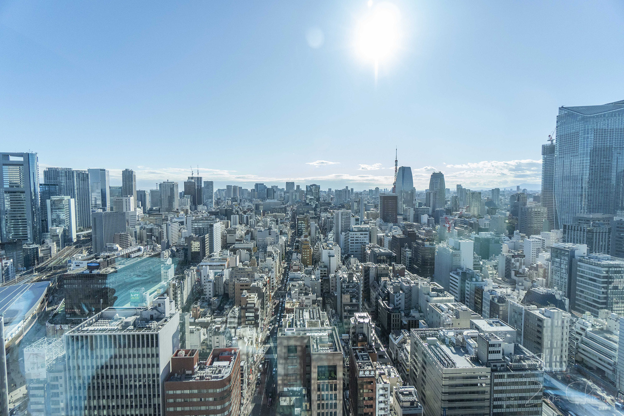 BLOSSOM HIBIYA_View