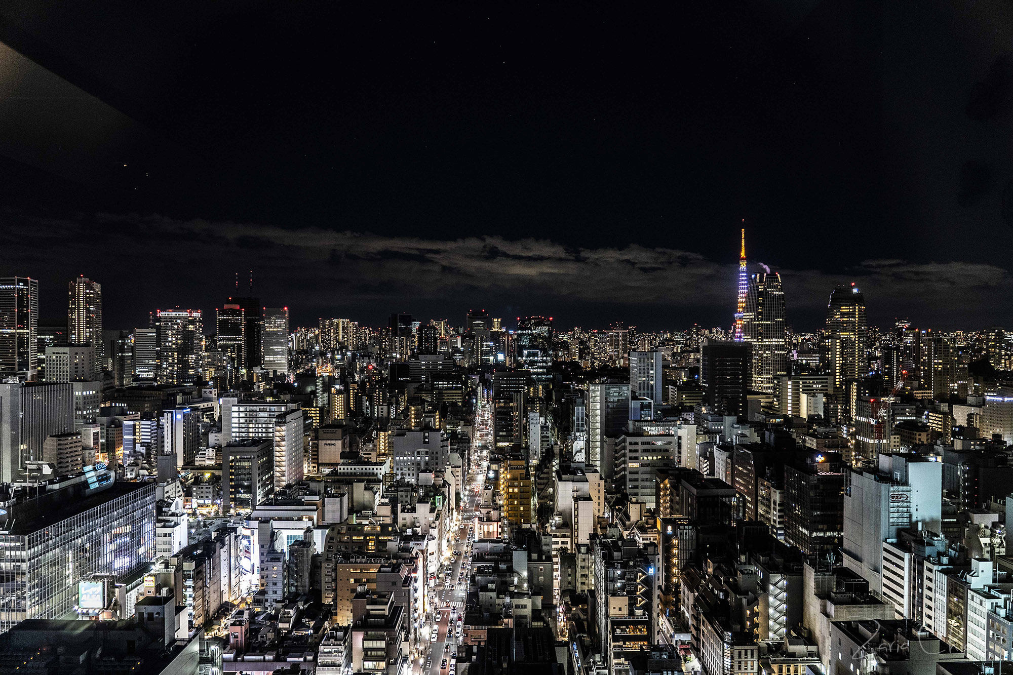 BLOSSOM HIBIYA_Night View