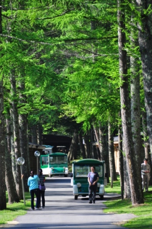 0fdd1c40410cde73b809c2d599b18c95 Karuizawa-輕井澤王子飯店/輕井澤Outlet (2010 Nikko/Kusatsu/Karuizawa Day 3)