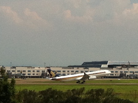 1310396608-ecf9f042602147e975539f2595dcbffc 大園-奇跡咖飛場