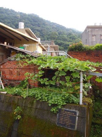 竹東軟橋0120.JPG