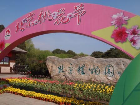 1311478579-454777ab0d5ddcc82cc1dce7a9c5862d Beijing-北京植物園桃花節(Day2-1)