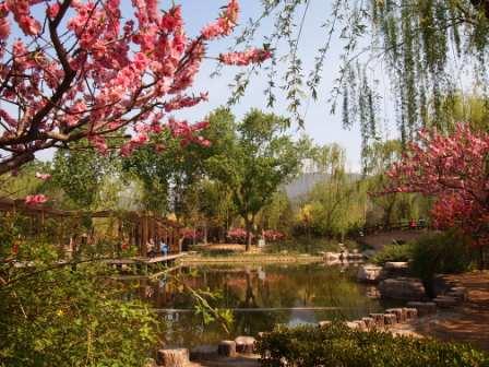 1311478586-587ba0f95dd29357e994f2756e474331 Beijing-北京植物園桃花節(Day2-1)