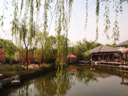 1311478589-f97765061090548d5381688733176f84 Beijing-北京植物園桃花節(Day2-1)