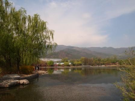 1311478622-a5c2763fa887e15743366beafece4304 Beijing-北京植物園桃花節(Day2-1)