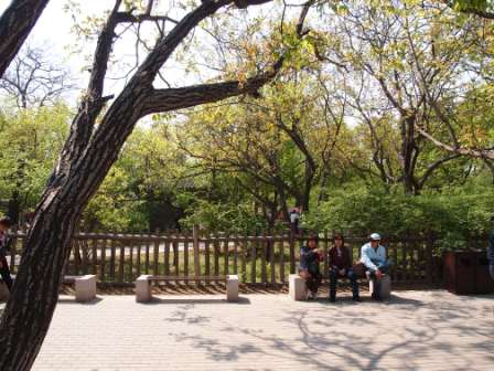 1311478624-139e65e4483c5b0bd32c27b419f8f276 Beijing-北京植物園桃花節(Day2-1)