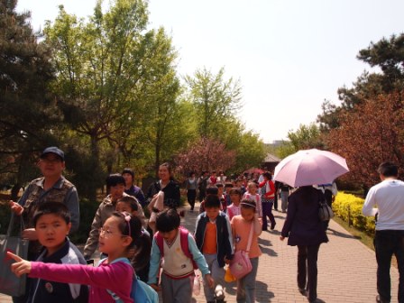 1311478633-8c4175d63c4f2f9154c2298e65560088 Beijing-北京植物園桃花節(Day2-1)