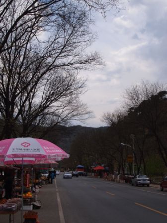 1311776284-92ae777cc1c446ad7b8ab59613d34d1b Beijing-魚師傅虹鱒於風味餐(Day2-2)