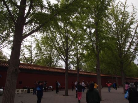 1312676197-7ec8b8f2f9592f6ec94fafeabc042200 Beijing-景山公園(Day3-1)