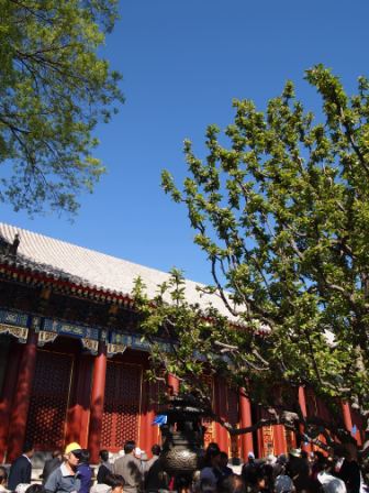 1313767753-4927ba74a9801fff76e3d7157fd8102d Beijing-慈禧的夏宮 頤和園(Day4-1)