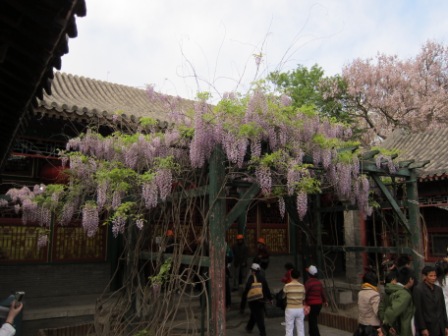1314410891-52f88acb72d5e0313312ce472da4f7dc Beijing-恭王府(Day 4-4)
