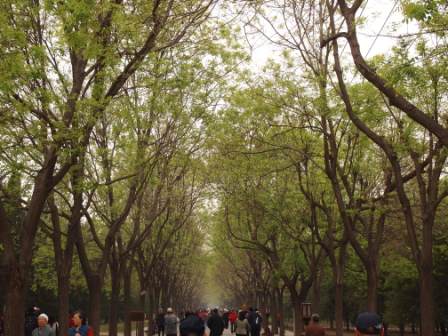 1314412659-c60ba276547bb538fa97db26b90d6c89 Beijing-天壇(Day5-1)