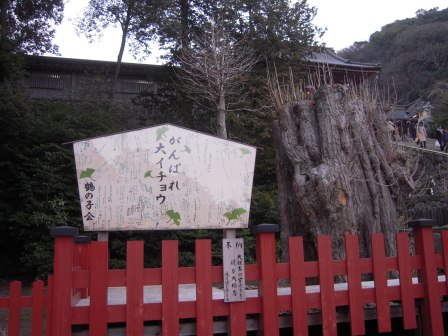 1317129274-1108494169 Kamakura-武家的古都鎌倉(大佛/長谷觀音/鶴岡八幡宮)