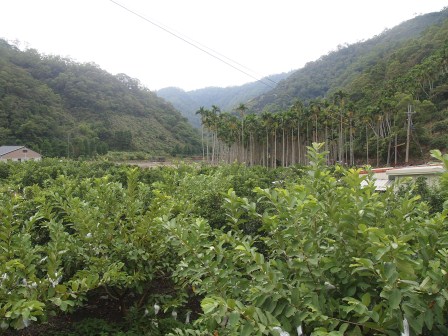 1317384373-3983818432 員山-望龍埤