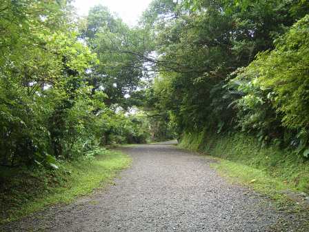 1322749213-1929820444 頭城-草嶺古道