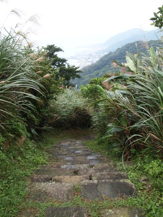 草嶺古道23.JPG