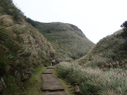 草嶺古道36.JPG