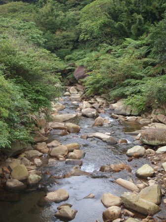 1322749395-54994508 頭城-草嶺古道