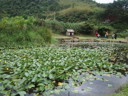 草嶺古道50.JPG