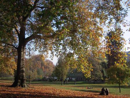 1323959319-3097918535 London-白金漢宮/聖詹姆士公園/西敏寺/國會大廈/大笨鐘